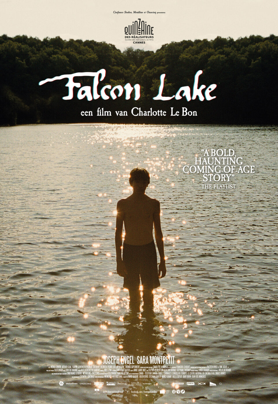 falcon Lake poster