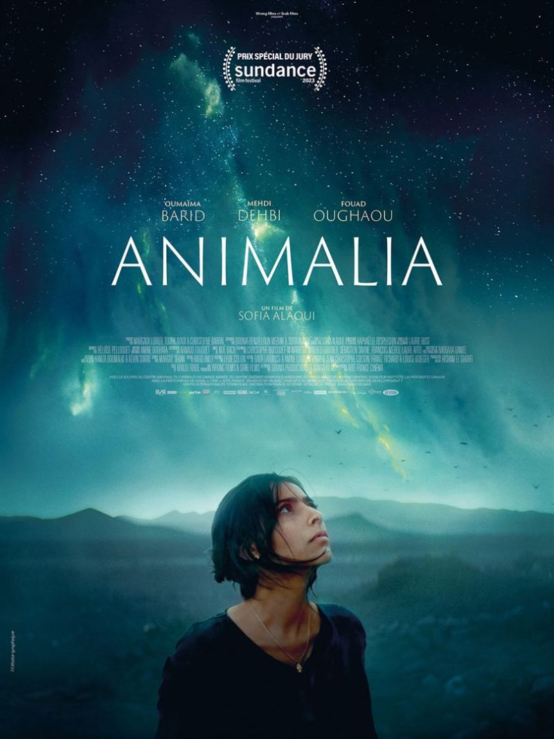 animalia poster